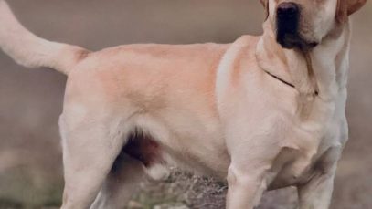 photo_2025-10-01_13-57-32