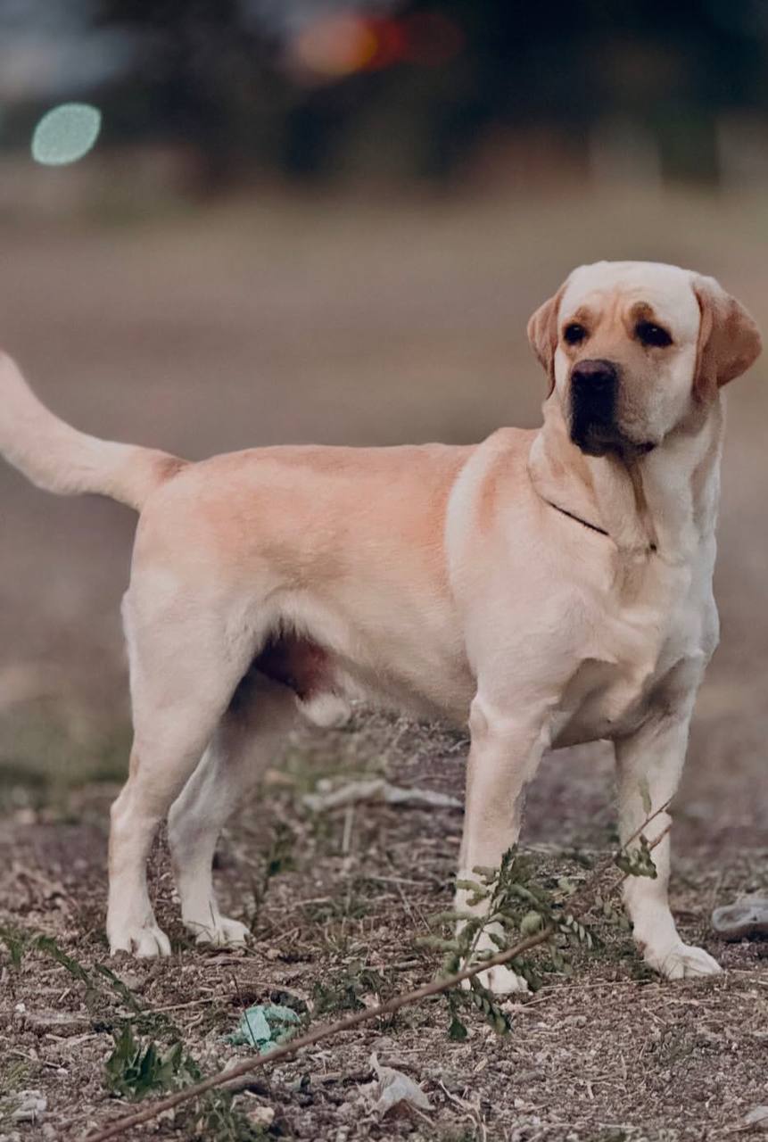 photo_2025-10-01_13-57-32